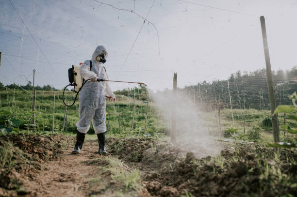 Best Ant Control Services  in Shawnee Hills, OH