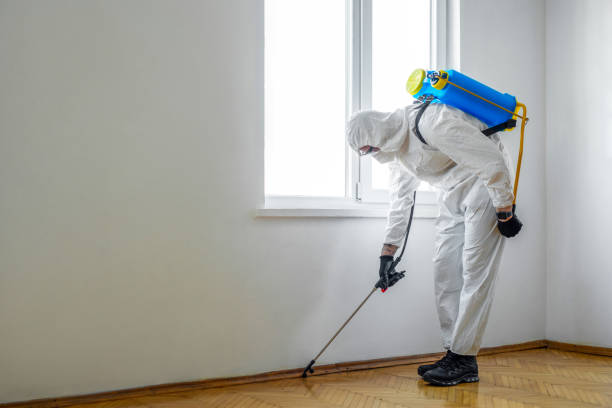 Best Pest Inspection Near Me  in Shawnee Hills, OH
