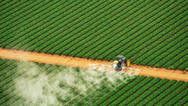 Best Mosquito Control Services  in Shawnee Hills, OH