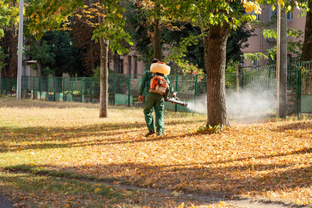 Best Residential Pest Control  in Shawnee Hills, OH