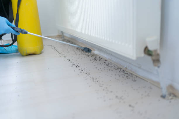 Best Pest Removal Services  in Shawnee Hills, OH